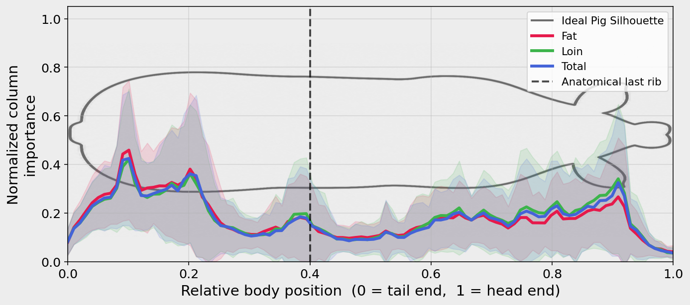 Population attribution curve over relative body position from tail (0) to head (1), showing a tail-rump peak near 0.1 and a broad rib-shoulder plateau from 0.4 to 0.9, with the anatomical last rib marked at 0.4. Curves for fat, loin, and total share the same shape.